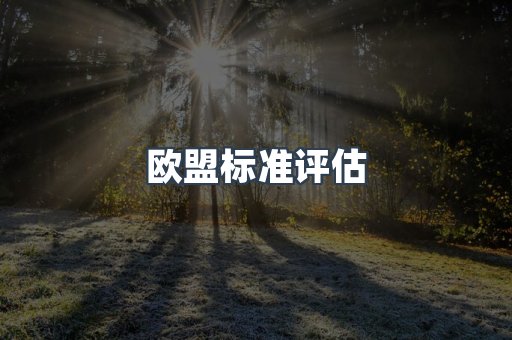 欧盟标准评估